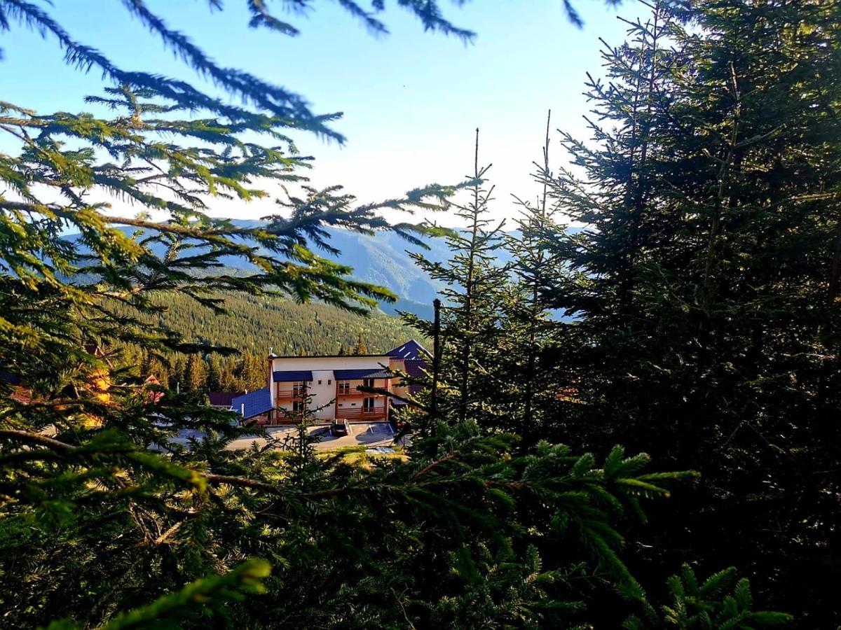 Complex Veverita Rânca Kültér fotó